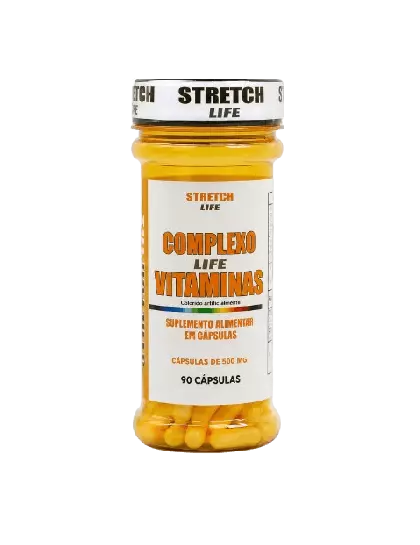 Complexo de Vitaminas 500mg 90 Cáps
