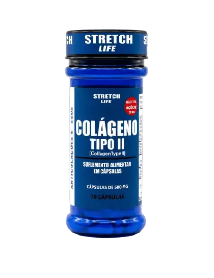 Colágeno Tipo II 500mg 70 Cáps