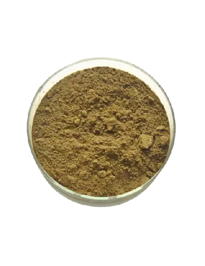 Graviola em Pó Granel