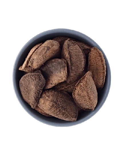 Castanha do Pará Com Casca
