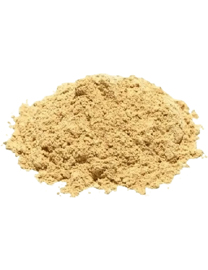 Cebola em Pó
