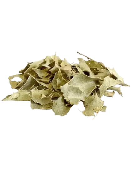 Boldo em Folhas a Granel