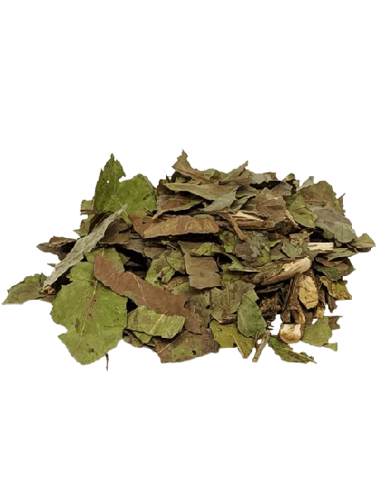 Chá Verde em Folha 
