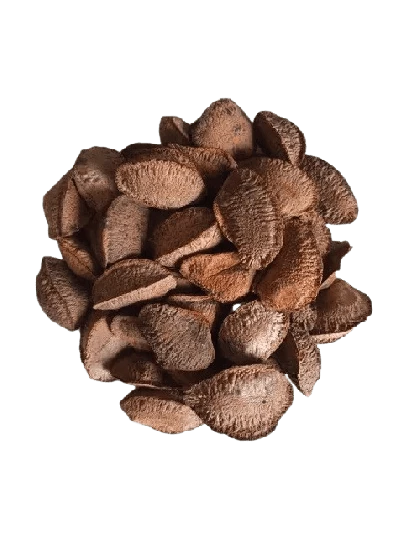 Castanha do Pará Com Casca