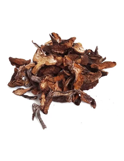 Funghi Seco Chileno a Granel