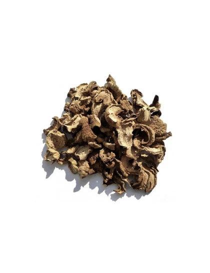 Funghi Seco Chileno a Granel