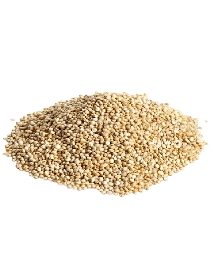 Quinoa Branca em Grãos