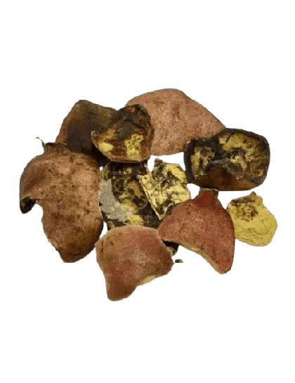 Casca de Roma a Granel