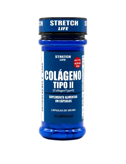 Colágeno Tipo II 500mg 70 Cáps