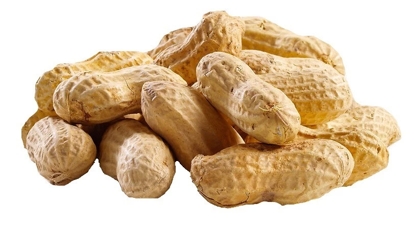 Amendoim Cru Com Casca 