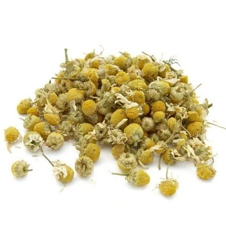 Camomila Flor