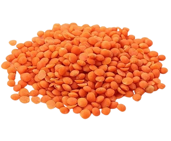Lentilha Libanesa Vermelha