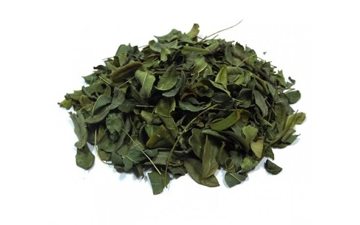 Moringa Oleifera em Folhas a Granel 