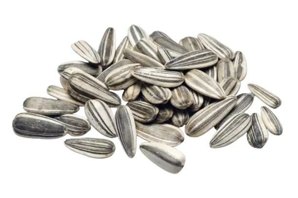 Semente de Girassol com Casca a Granel 