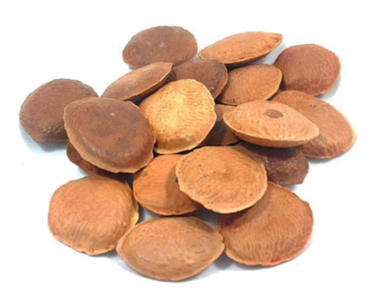 Semente de Sucupira a Granel 