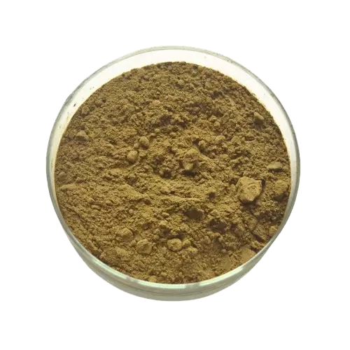 Graviola em Pó Granel