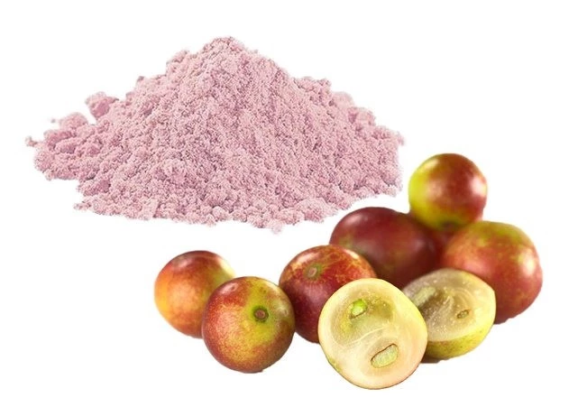 Camu Camu em Pó a Granel