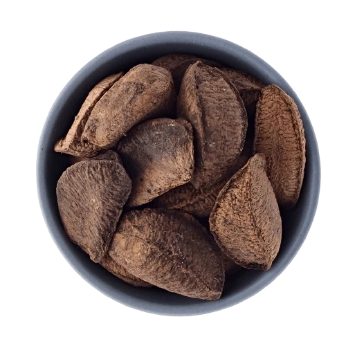 Castanha do Pará Com Casca