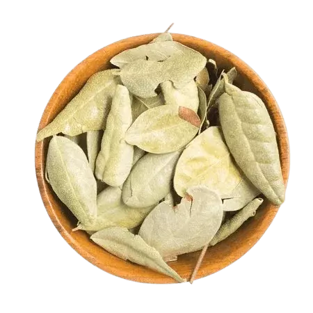 Boldo em Folhas a Granel