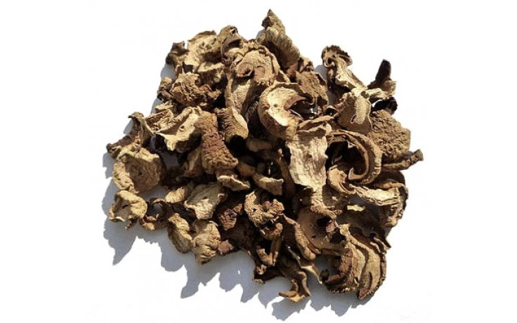 Funghi Seco Chileno a Granel
