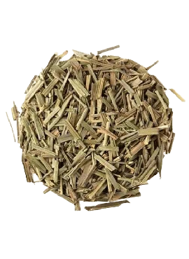 Capim Cidreira
