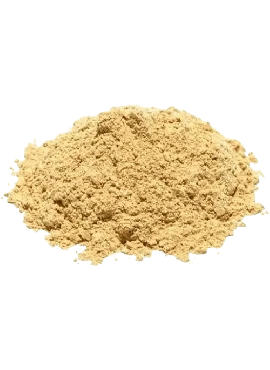 Cebola em Pó