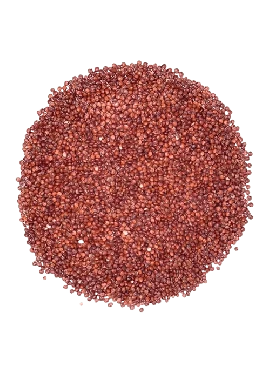 Quinoa em Grãos Vermelhos a Granel 