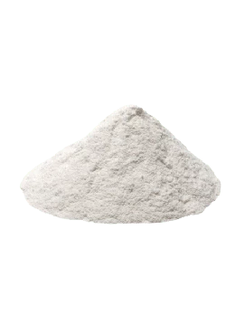 Leite de Coco em Pó
