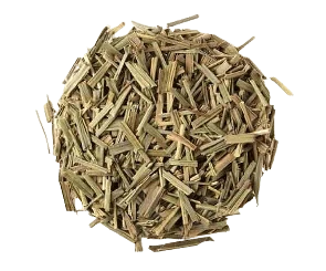 Capim Cidreira