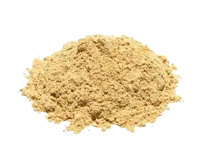Cebola em Pó