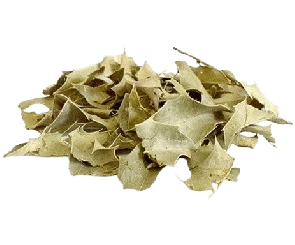 Boldo em Folhas a Granel