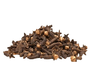 Cravo da índia em Flor