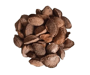 Castanha do Pará Com Casca