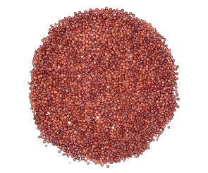 Quinoa em Grãos Vermelhos a Granel