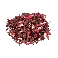 Flor de Hibisco