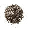 Semente de Chia