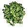 Ervilha Torrada com Wasabi