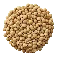 Lentilha Canadense